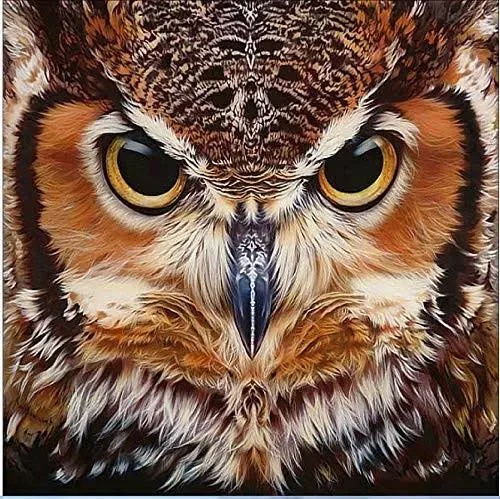 YiChuangXin DIY 5D Diamond Drill Painting Kits for Adults Full Drill OWL Diamond Drll Painting Rhinestone Embroidery Pictures Cross Stitch Arts Crafts for Living Room Home Wall Decor 30x30cm