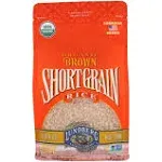 Lundberg Family Farms Rice, Gourmet, Organic, Brown, Short Grain - 32 oz