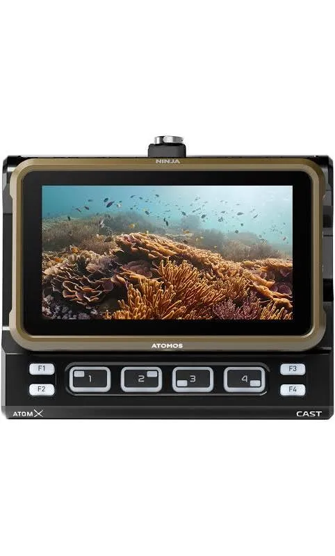 Atomos Ninja 5.2in HDR Monitor-Recorder