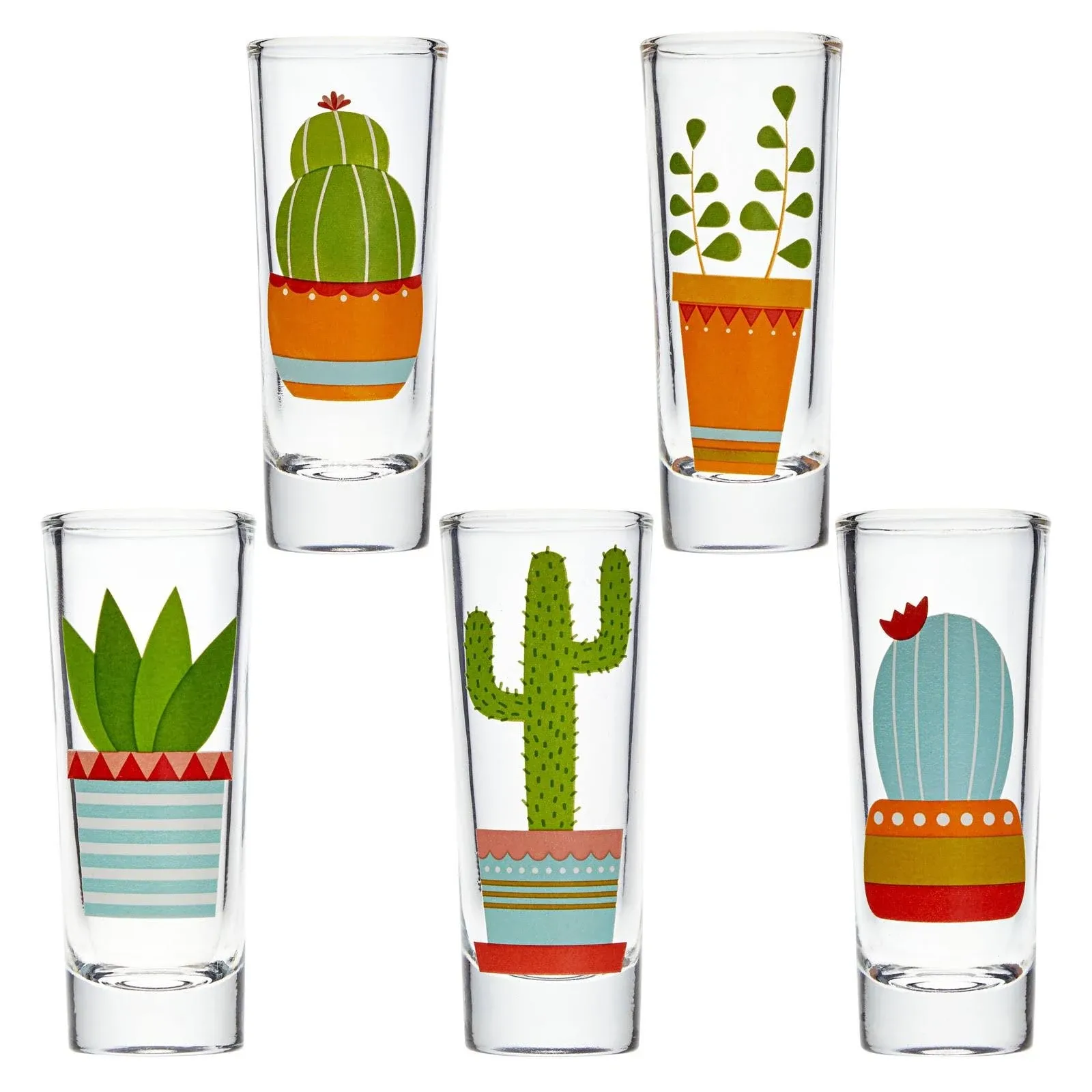 5 Pack Shot Glasses Set With Cactus Designs For Bachelorette Party 2 Oz