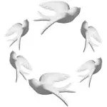 Set of 6 White Ceramic Birds Doves Sparrows Swallows Wall Mounted Decor Hanging 