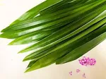 Fresh Pandan Leaves - 7 Oz