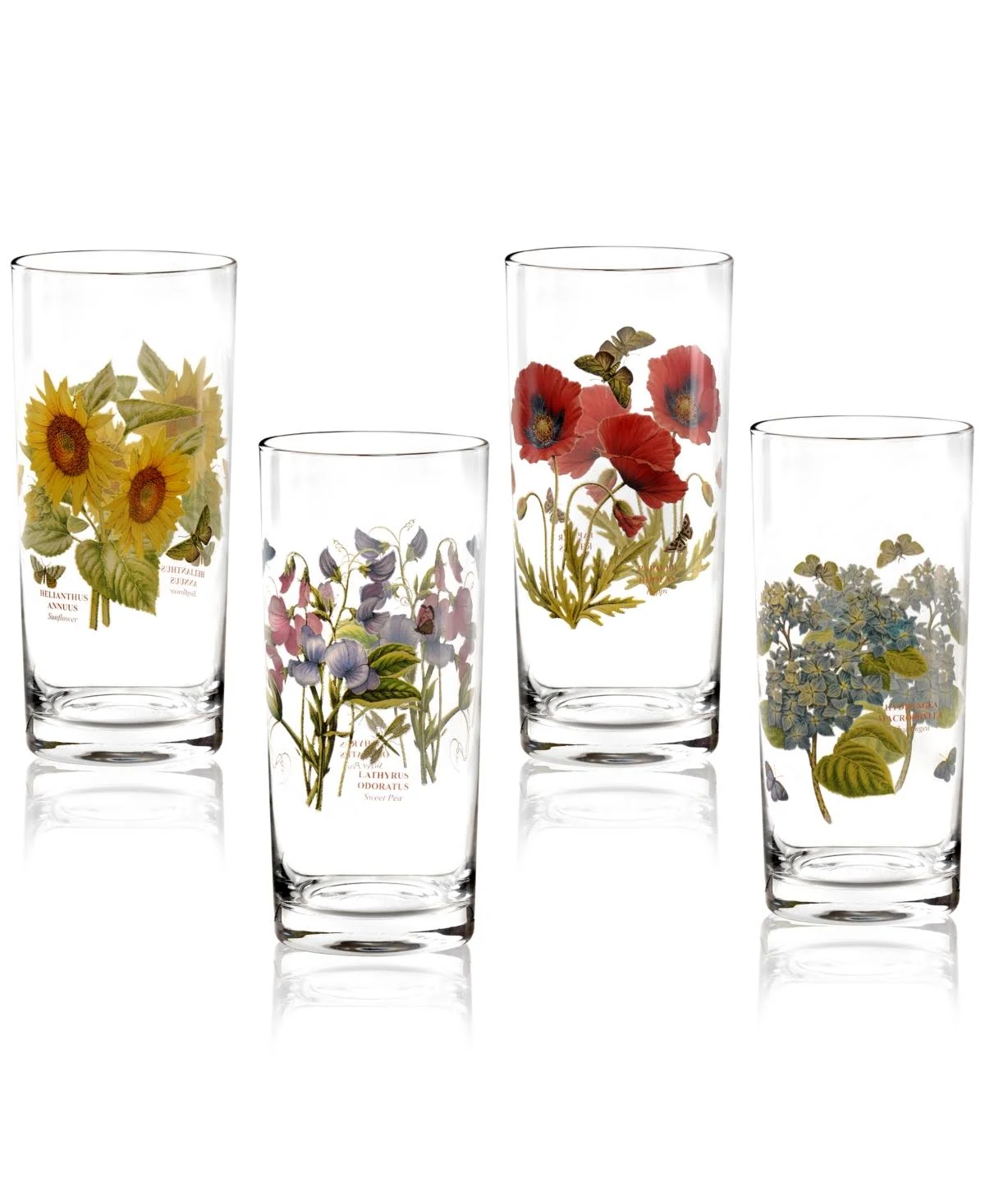 Portmeirion Botanic Garden Double Old Fashioned Glasses (Set of 4)