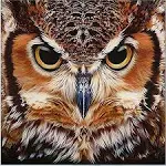 YiChuangXin DIY 5D Diamond Drill Painting Kits for Adults Full Drill OWL Diamond Drll Painting Rhinestone Embroidery Pictures Cross Stitch Arts Crafts for Living Room Home Wall Decor 30x30cm