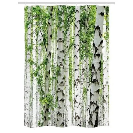 Ambesonne Woodland Stall Shower Curtain, Birch Trees in The Forest Summertime ...