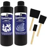 Jacquard Cyanotype kit Sensitizer Set of 2Cyanotype Chemicals for Photographi...