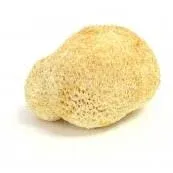 Dried Lion's Mane Mushrooms - 4 oz. Life Gourmet Shop