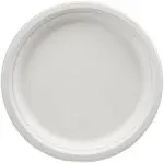 Amazon Basics Compostable Plates, 10-Inch, Pack of 500