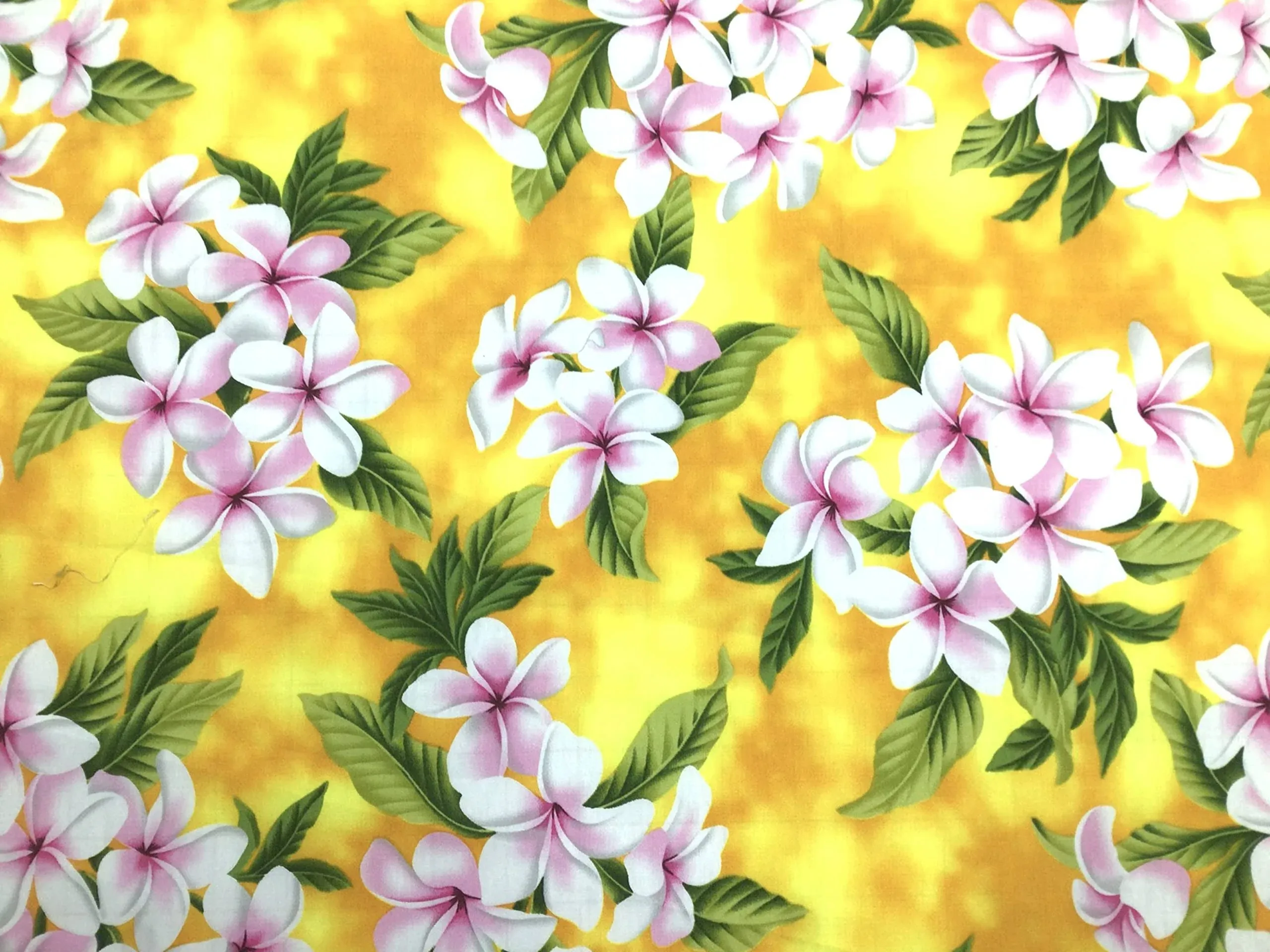 Yellow Plumeria Hawaiian Print Fabric 100% Cotton Sold by the yard   (Yardage Available)