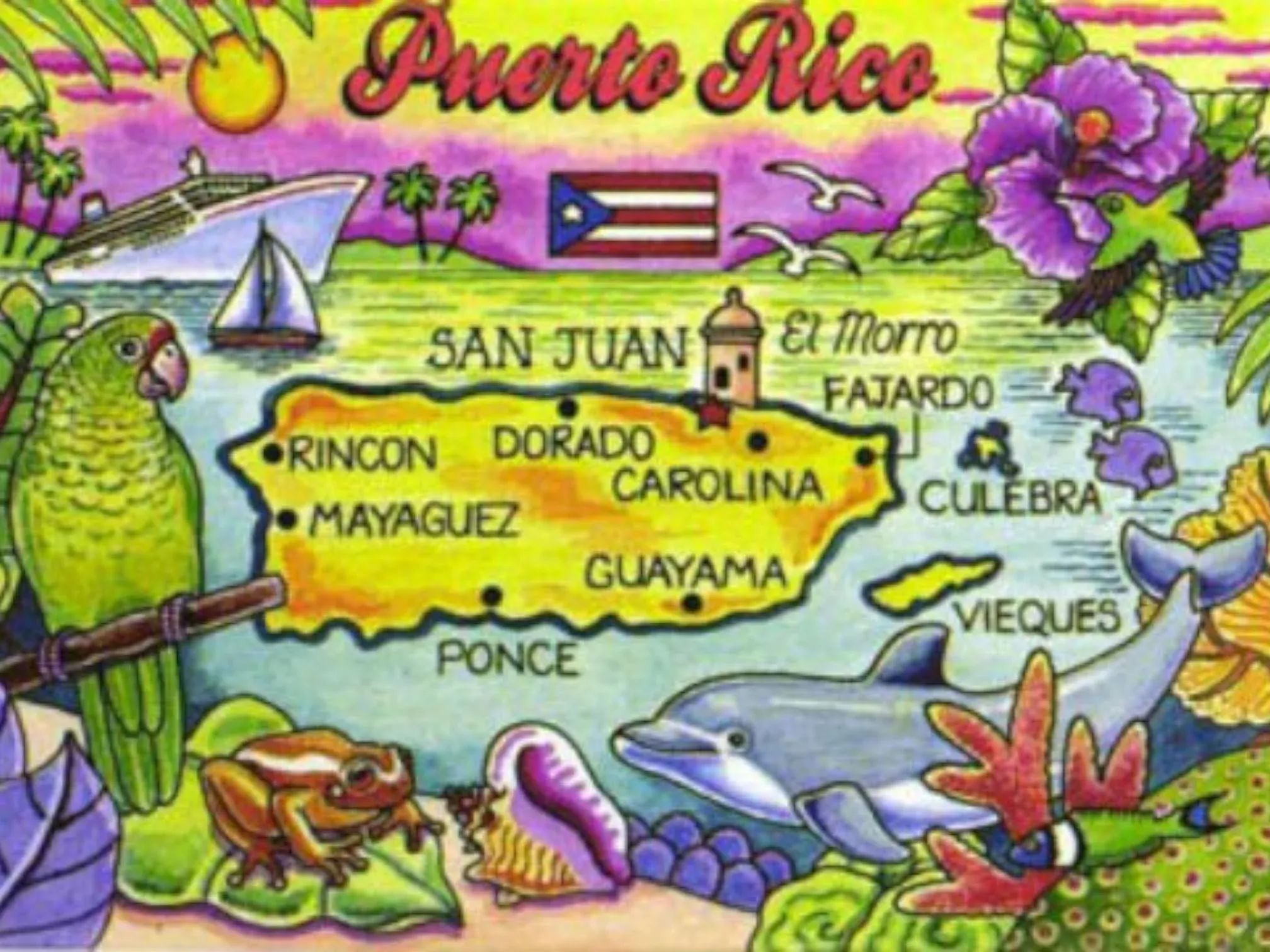 Puerto Rico Caribbean Fridge Collector's Souvenir Magnet 2.5" x 3.5"