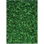 5x7FT Green Leaves Photography Backdrops Nature Leaf Backdrop Birthday Backgr...