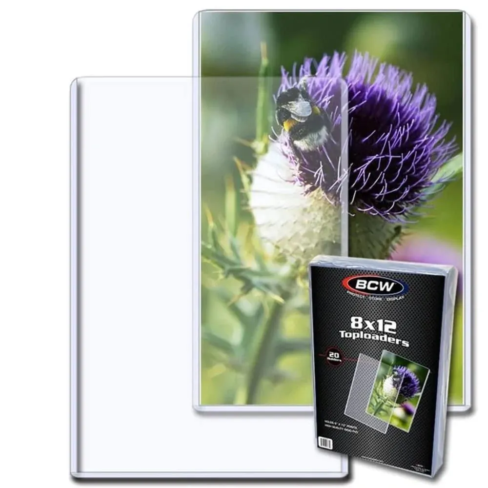 BCW 8x12 Photo Topload Holder