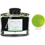 Pilot Ink Iroshizuku 50ml Green - Chiku-rin (Bamboo Forest)