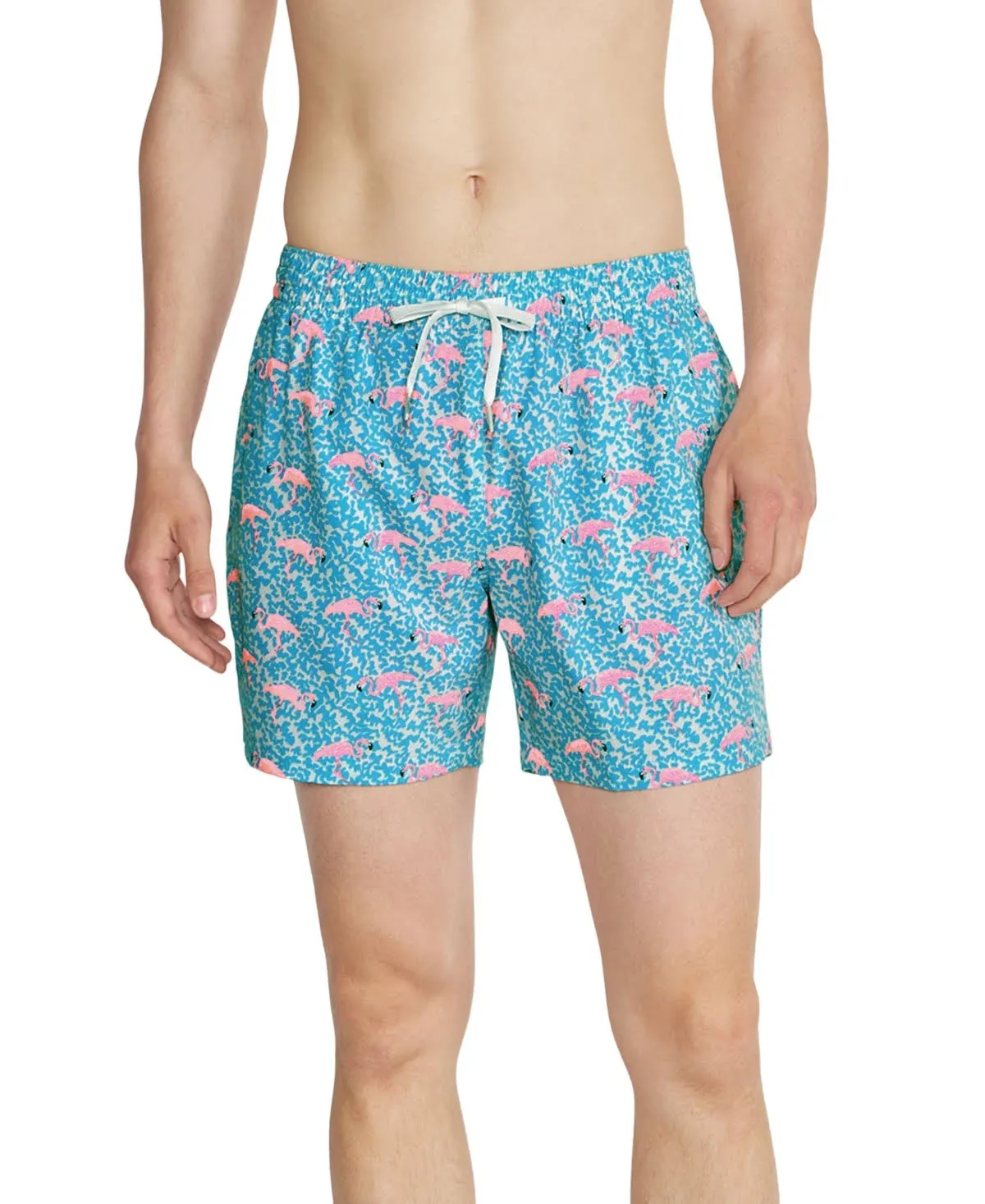 Chubbies Men's The Domingos Are for Flamingos 5.5" Swim Trunk