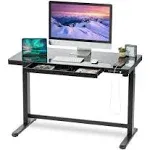 Iris USA Electric Standing Desk Height Adjustable with USB Port (GLASS Top)