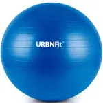 URBNFit Exercise Ball (65 cm) for Stability & Yoga - Workout Guide Incuded - Pro