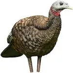 Avian x - LCD Breeder Hen Turkey Decoy