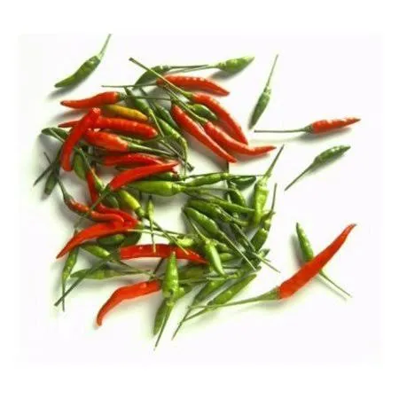 Thai Chili Fresh 14 Oz