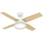 Hunter Dempsey 44" Ceiling Fan