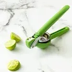 Chef'n FreshForce Citrus Juicer, One Size, Green