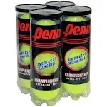 Penn Championship Extra Duty Felt Pressurized Tennis Balls