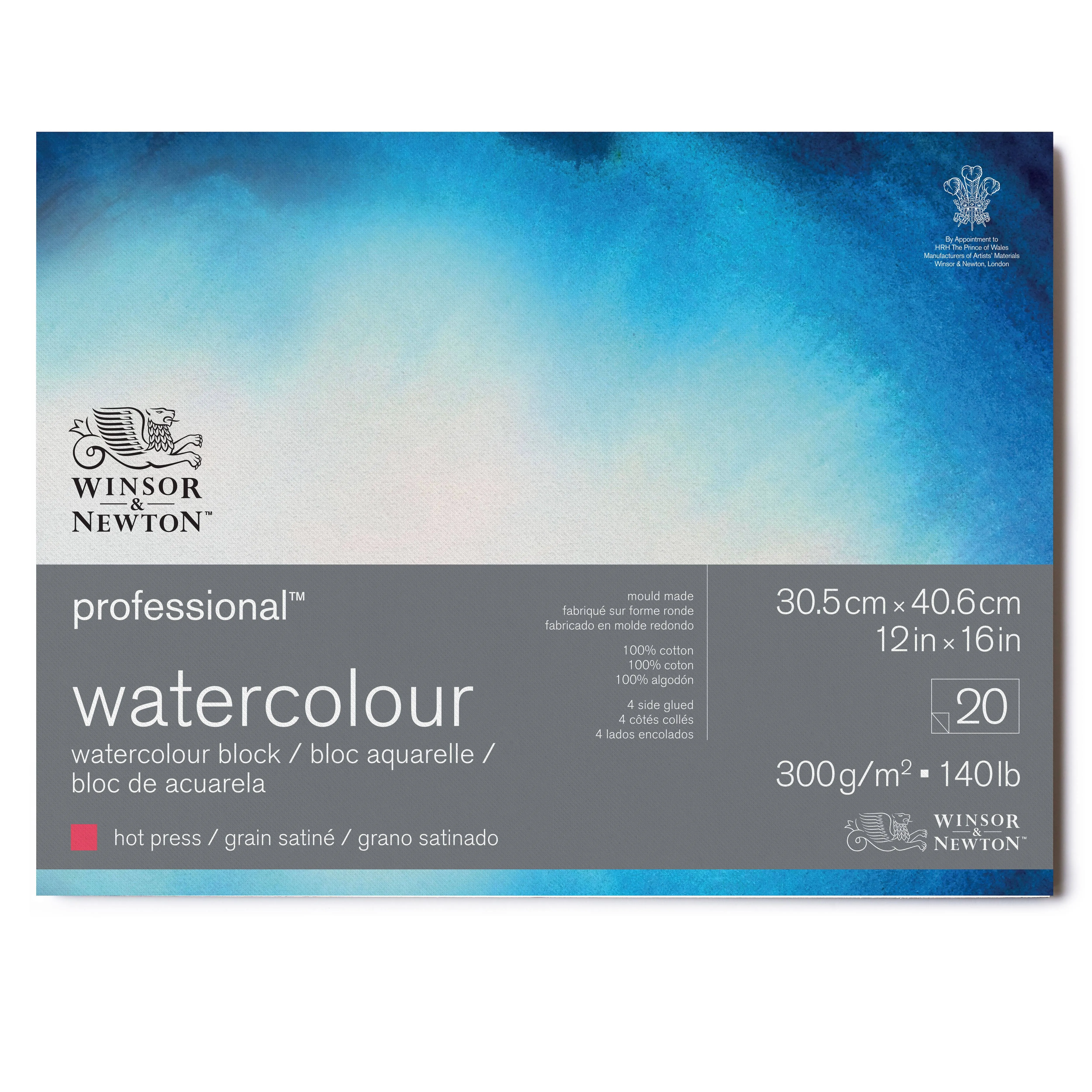 Winsor & Newton Professional Watercolor Block - 12" x 16", Hot Press