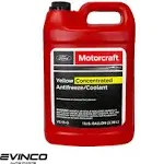 Motorcraft Concentrated Antifreeze