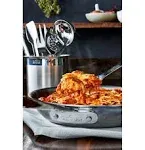 All-Clad Cook &amp; Serve Stainless Steel Solid Spoon, 10 inch, Silver Brand New NWT