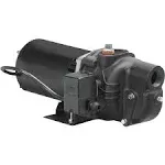 WAYNE SWS50 1/2 HP Cast Iron Shallow Well Jet Pump