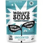 Molly's Suds Laundry Powder Unscented 70 Loads