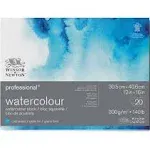 Winsor & Newton Professional Watercolor Block - 12" x 16", Cold Press