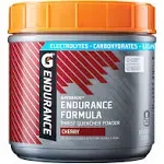 Gatorade Endurance Formula Powder