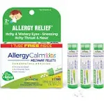 Boiron Allergycalm on the Go Homeopathic Medicine For Allergy Relief, Itchy & Watery Eyes, Sneezing, Itchy Throat & Nose (2 ct)