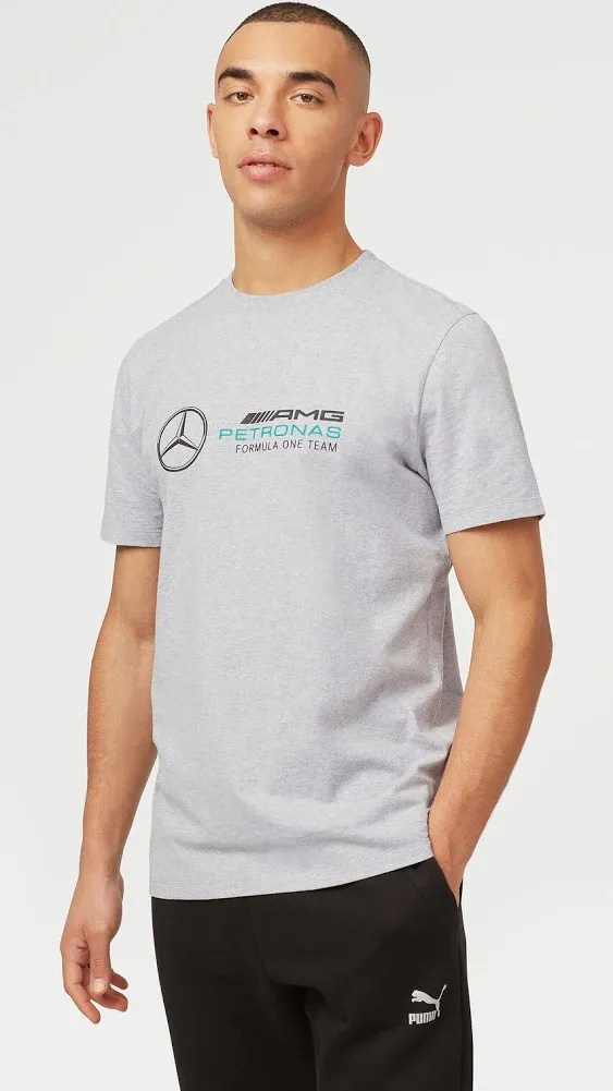 Mercedes-AMG Petronas F1 Unisex Large Logo T-Shirt (Gray, S)