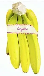 Kejora Fresh Bananas 3 LB (about 6-7 pcs) - Fresh