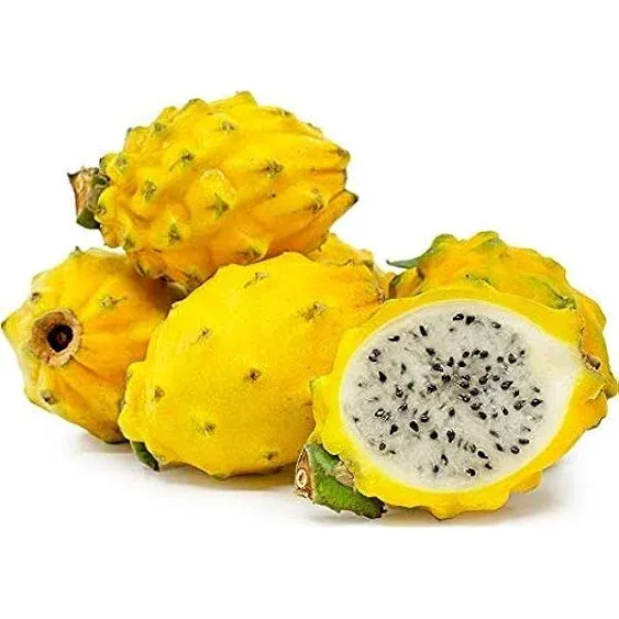 Fresh -GPS-Yellow Dragon Fruits (4 counts)