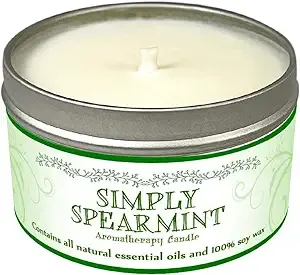 Our Own Candle Company Soy Wax Aromatherapy Scented Candle, Simply Spearmint, 6.5 ...