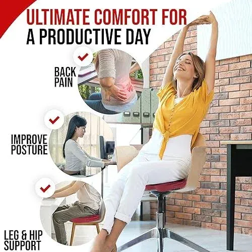 Lumbar and Seat Cushion - Breathable Mesh Cover