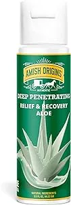 Amish Origins Deep Penetrating Joint & Muscle All Natural Therapy Aloe Cream 3.5 oz Pump, with Aloe for Sore Muscle Shooting, Mosquito Bites Itching