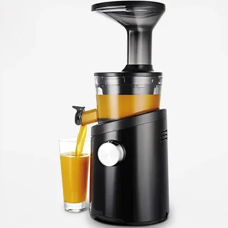 Hurom H101 Slow Juicer