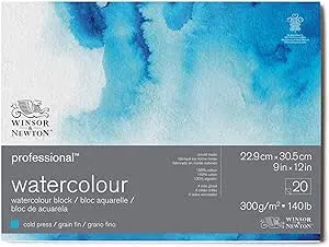 Winsor & Newton Professional Watercolor Block - 9" x 12", Cold Press