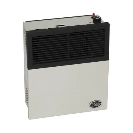 Ashley 11,000 BTU Direct Vent Propane Heater