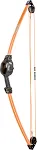 Bear Archery Spark Youth Bow Set