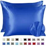 Shopbedding Luxury Satin Pillowcase for Hair Queen Satin Pillowcase with Zipper Sage Pillowcase Set of 2 Blissford