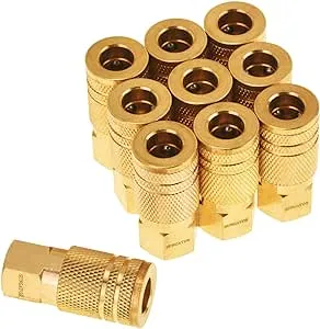 SUNGATOR 1/4-Inch Brass Female Industrial Coupler, 10-Pack NPT Female Quick Connect Air Coupler with Storage Case MGGFZ9B