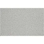 USG INTERIORS Fifth Avenue Ceil Tile, 2' x 4'