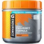 Gatorade Endurance Formula Powder