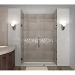 Aston Nautis GS Completely Frameless Hinged Shower Door with Glass Shelves, 48" x 72", Stainless Steel