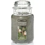 Yankee Candle - Holiday Bayberry Large 22 oz Jar Candle