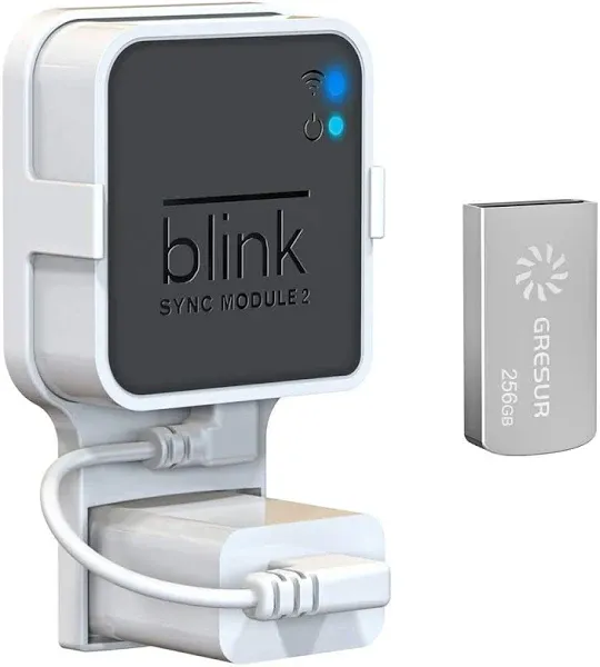 256GB USB Flash Drive for Local Video Storage with The Blink 256 GB (Pack of 1)